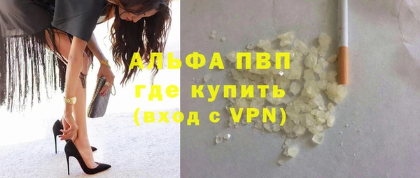 ГАЛЛЮЦИНОГЕННЫЕ ГРИБЫ Касимов