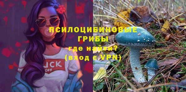 ГАЛЛЮЦИНОГЕННЫЕ ГРИБЫ Касимов