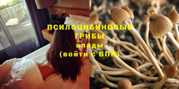 мескалин Киреевск