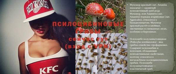 а пвп мука Инсар