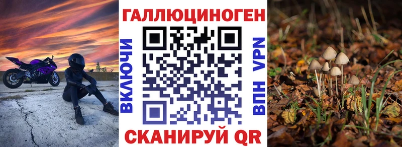 Галлюциногенные грибы мухоморы  блэк спрут сайт  Киренск 