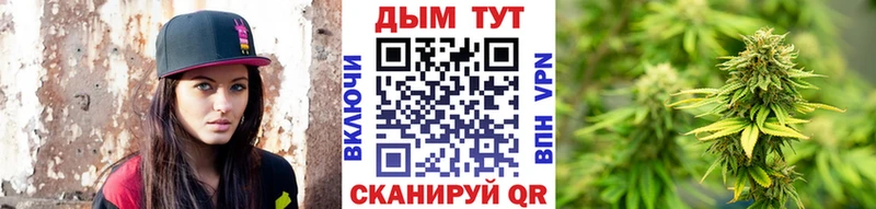 Бошки Шишки SATIVA & INDICA  наркотики  Киренск 